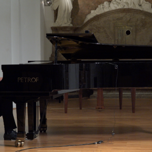 David Šantavý II.png